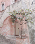 Plakat - Pink house in Corigliano Calabro