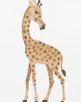 Plakat - Giraffe