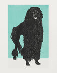 Plakat - Poodle