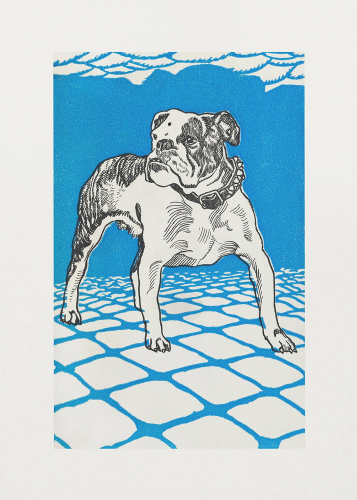 Plakat - Bulldog