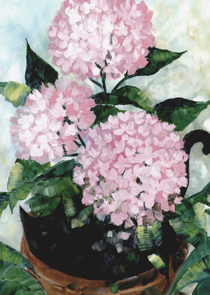 Plakat - Potted pink hydrangeas