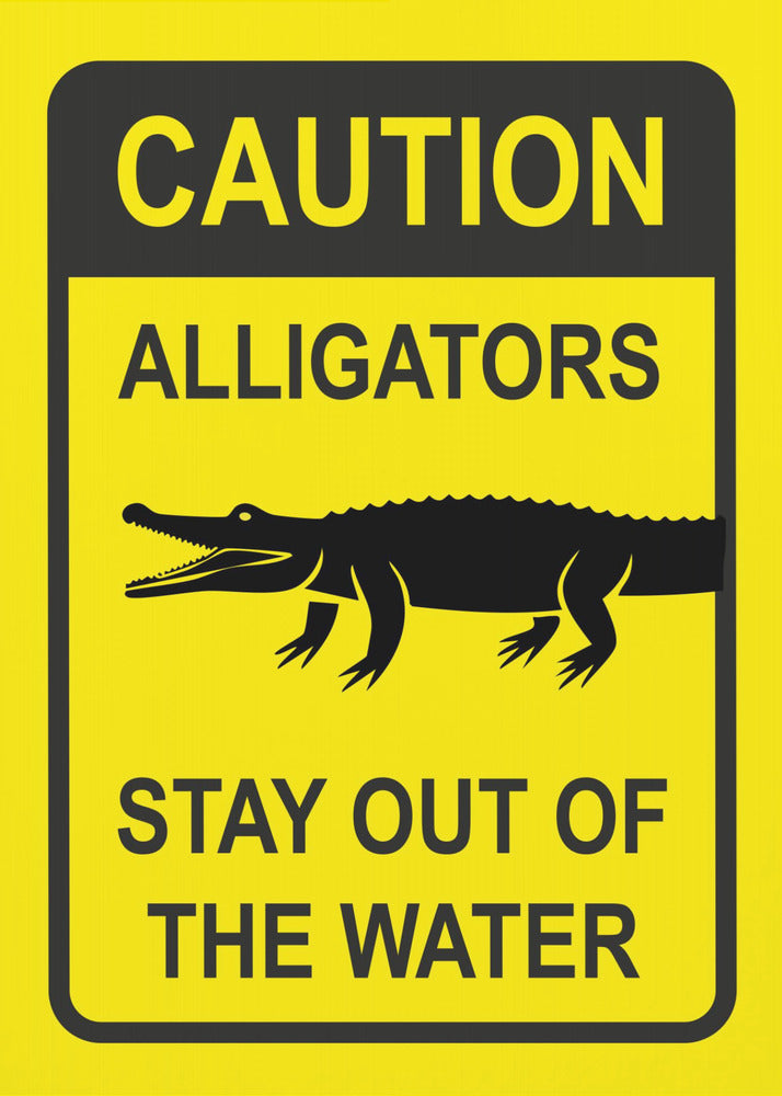 Plakat - Caution   Alligators