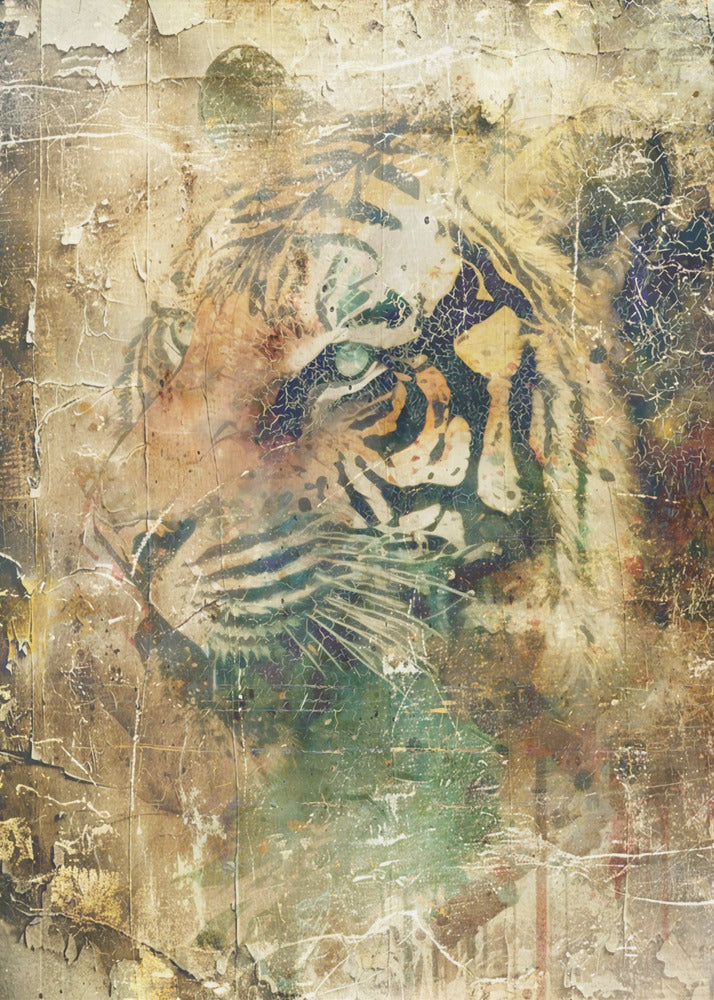 Poster - Tiger Art Animal Stylish 6