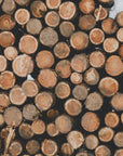 Plakat - Wood Logs 02