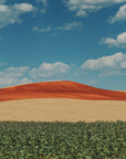 Plakat - Red Mountain and Crops 03