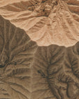 Plakat - Desert Patterns 02