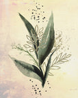 Poster - Plants 28