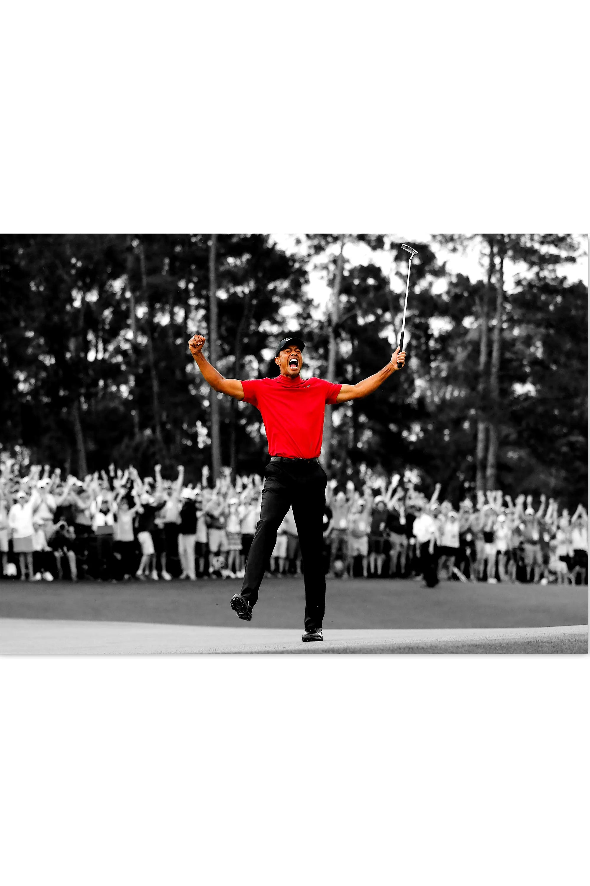 Plakat - Tiger Woods - admen.dk